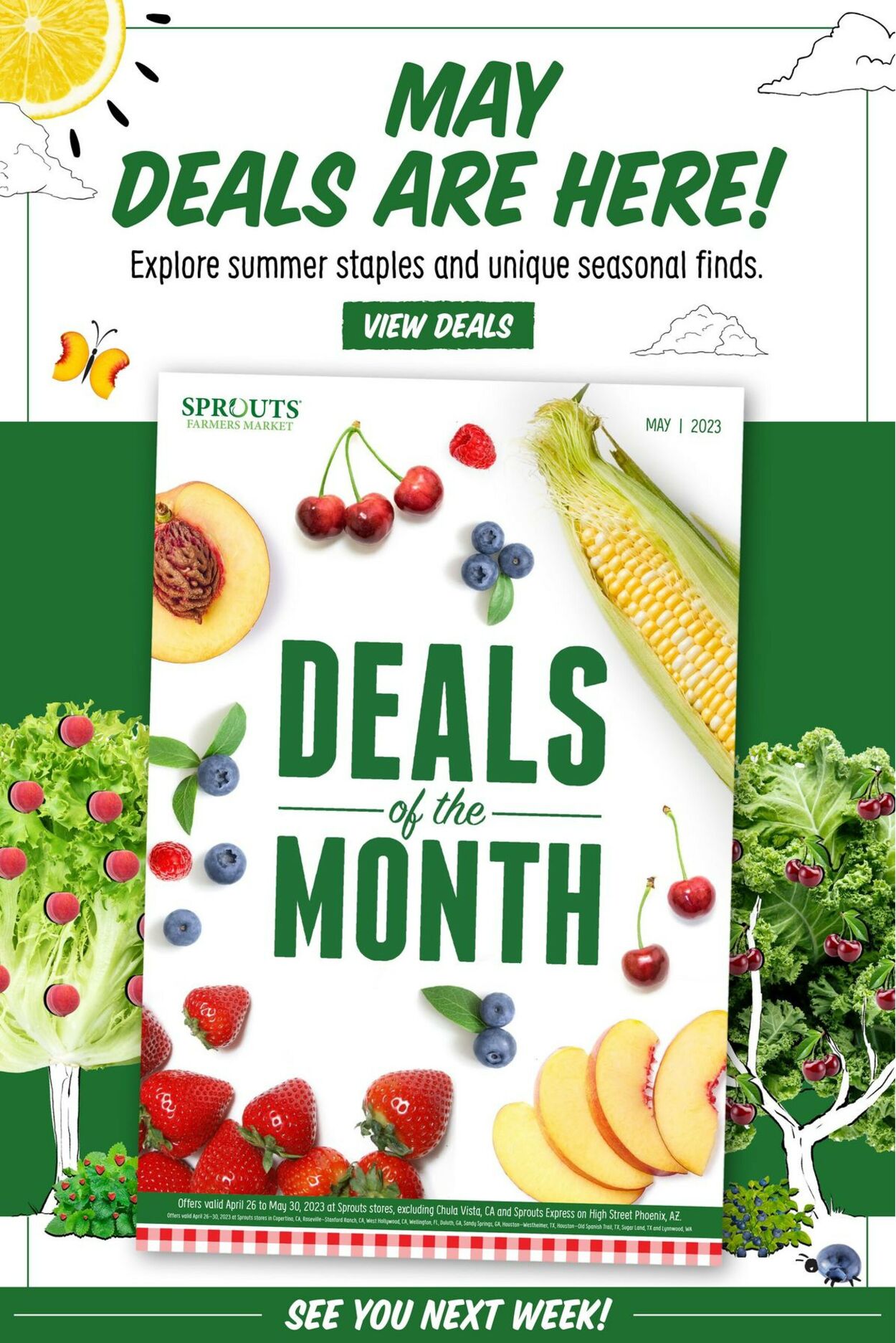 Sprouts Weekly Ad Circular - valid 05/03-05/09/2023 (Page 14)