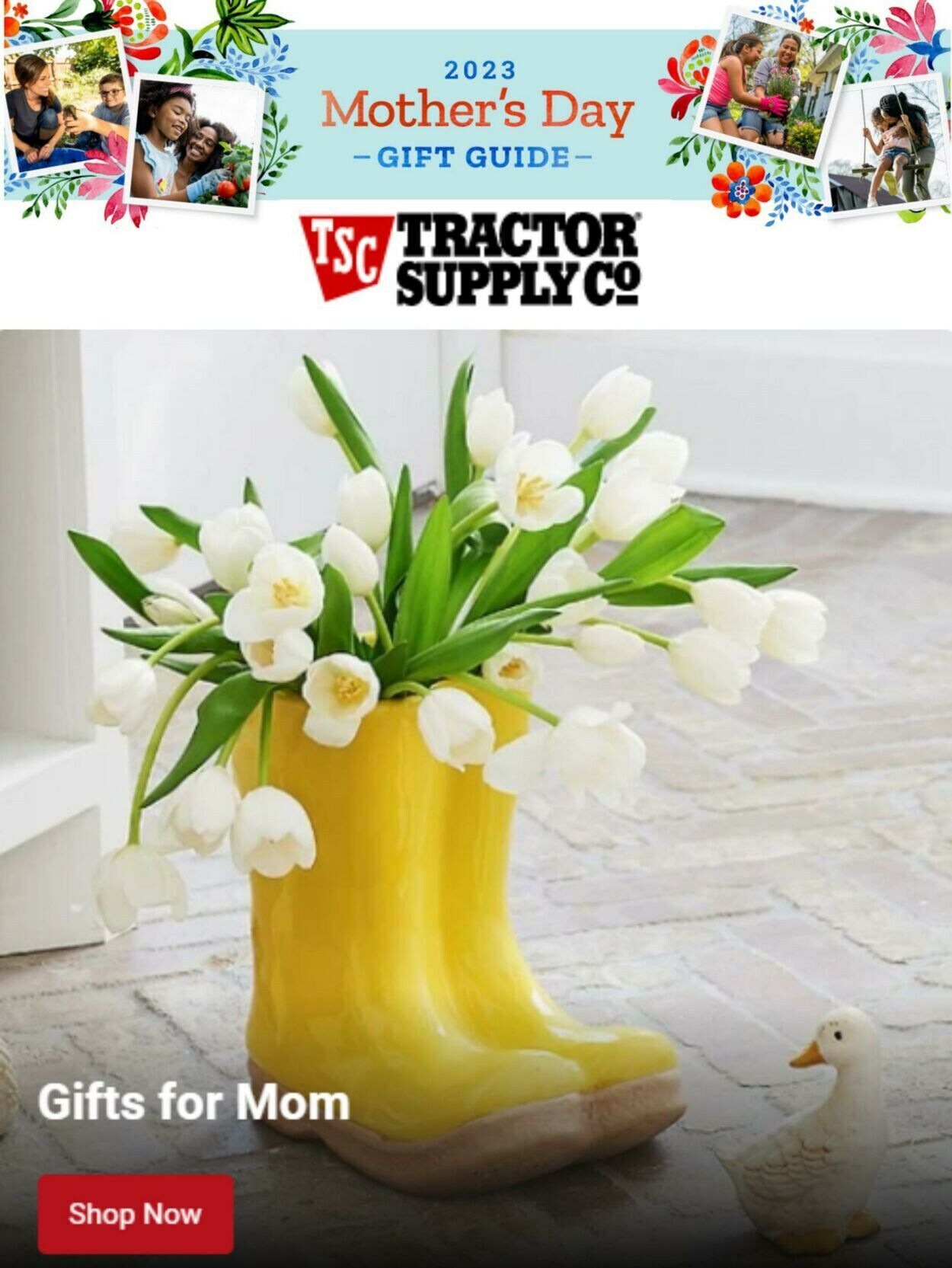 Tractor Supply Weekly Ad Circular - valid 05/04-05/17/2023